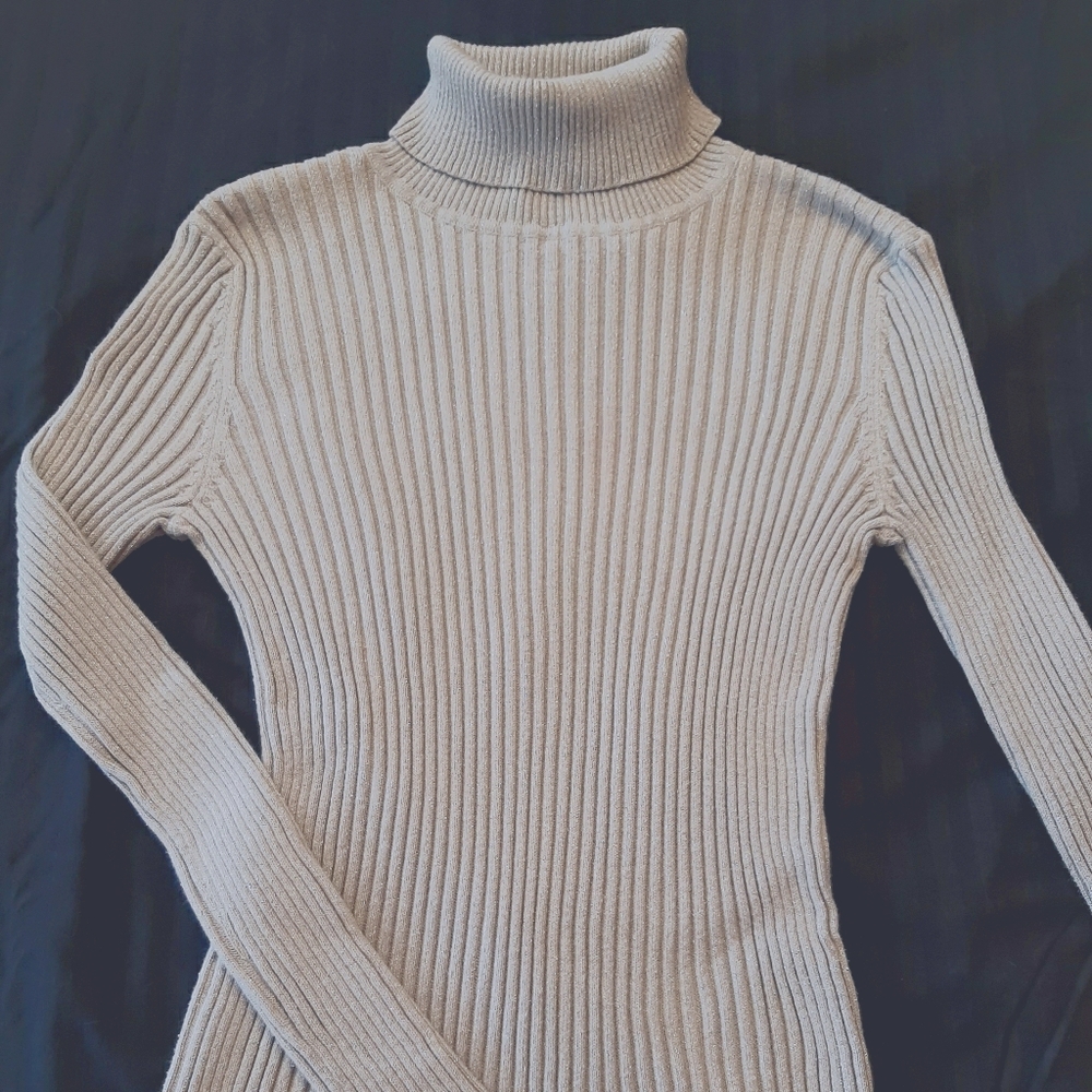 Express Silver Turtle Neck Sweater